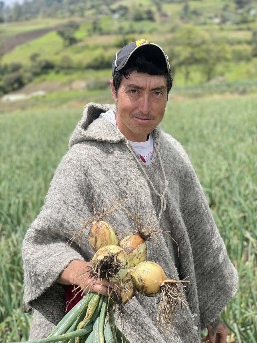 monicacortesp's tweet photo. Hoy en el #DiaDelCampesino cuando estemos comiendo nuestros alimentos agradezcamos a los hombres y mujeres que labran la tierra y garantizan que en las ciudades tengamos productos agropecuarios saludables y suficientes. @MinAgricultura @UPRAColombia https://t.co/VTg8csgwVf