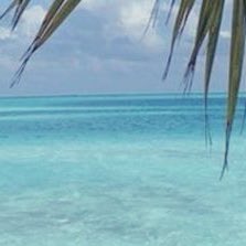 hannah’s #edtwt intro!!

✿ 15 (09)
✿ sw : 169 | gw : 120
✿ basic dni
✿ pro-recov
✿ inactive for a bit but im back!!
✿ ♡/⟲ for moots + ifb!

(๑&gt;◡&lt;๑)