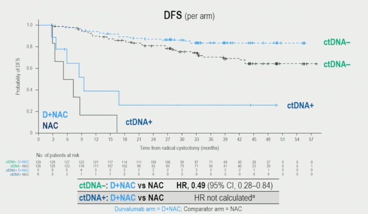 Zach Klaassen (@zklaassen_md) on Twitter photo ⚡️Oral Abstract⚡️
NIAGARA: ctDNA in MIBC who received periop Durva <a href="/urotoday/">UroToday.com</a> #ASCO25 <a href="/tompowles1/">Tom Powles</a>
📌ctDNA+ rate: BL (57%) --> pre-RC (22%) --> post-RC (9%)
📌EFS benefit in Durva arm for ctDNA+ and ctNDA-
📌ctDNA clearance: ⬆️in Durva arm and prognostic for EFS (HR 0.32, 95% CI ⚡️Oral Abstract⚡️
NIAGARA: ctDNA in MIBC who received periop Durva <a href="/urotoday/">UroToday.com</a> #ASCO25 <a href="/tompowles1/">Tom Powles</a>
📌ctDNA+ rate: BL (57%) --> pre-RC (22%) --> post-RC (9%)
📌EFS benefit in Durva arm for ctDNA+ and ctNDA-
📌ctDNA clearance: ⬆️in Durva arm and prognostic for EFS (HR 0.32, 95% CI