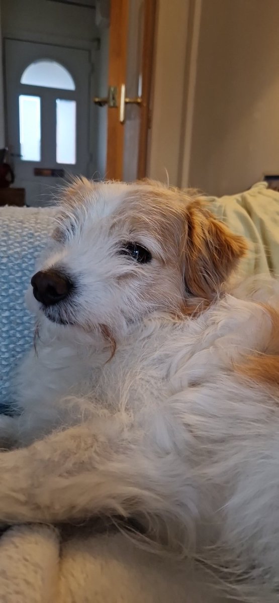 Cryptobel tweet media