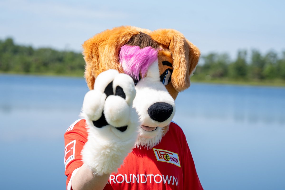"What's 1+1?"

The ever intelligent Liz T. Dog:

🪡: <a href="/FrontRangeSuits/">🏔️🪡 Front Range Fursuits 🪡 🏔️</a>
📷: <a href="/deadroo/">deadroo</a>