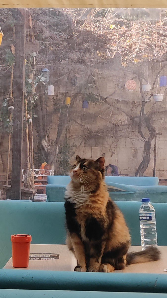 EftalBey tweet media