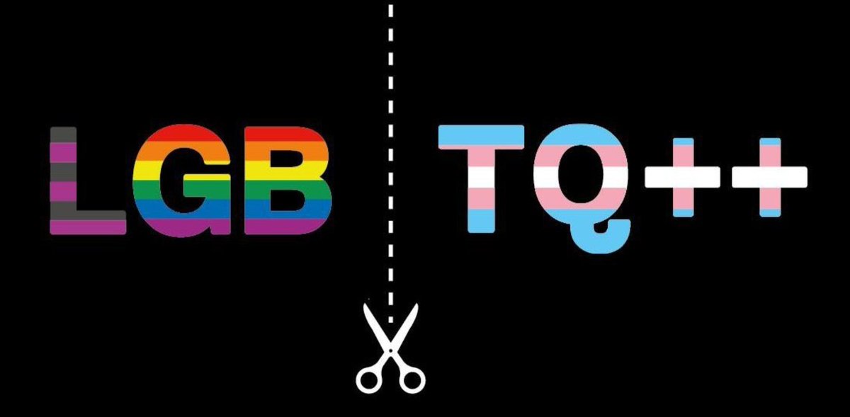 La causa LGB ha sido secuestrada por el transactivismo.
En este mes del orgullo. Hilo que recopila las organizaciones y personas homosexuales que se oponen a la ideología de género y denuncian la medicalización de la identidad de menores bajo el disfraz de inclusión.