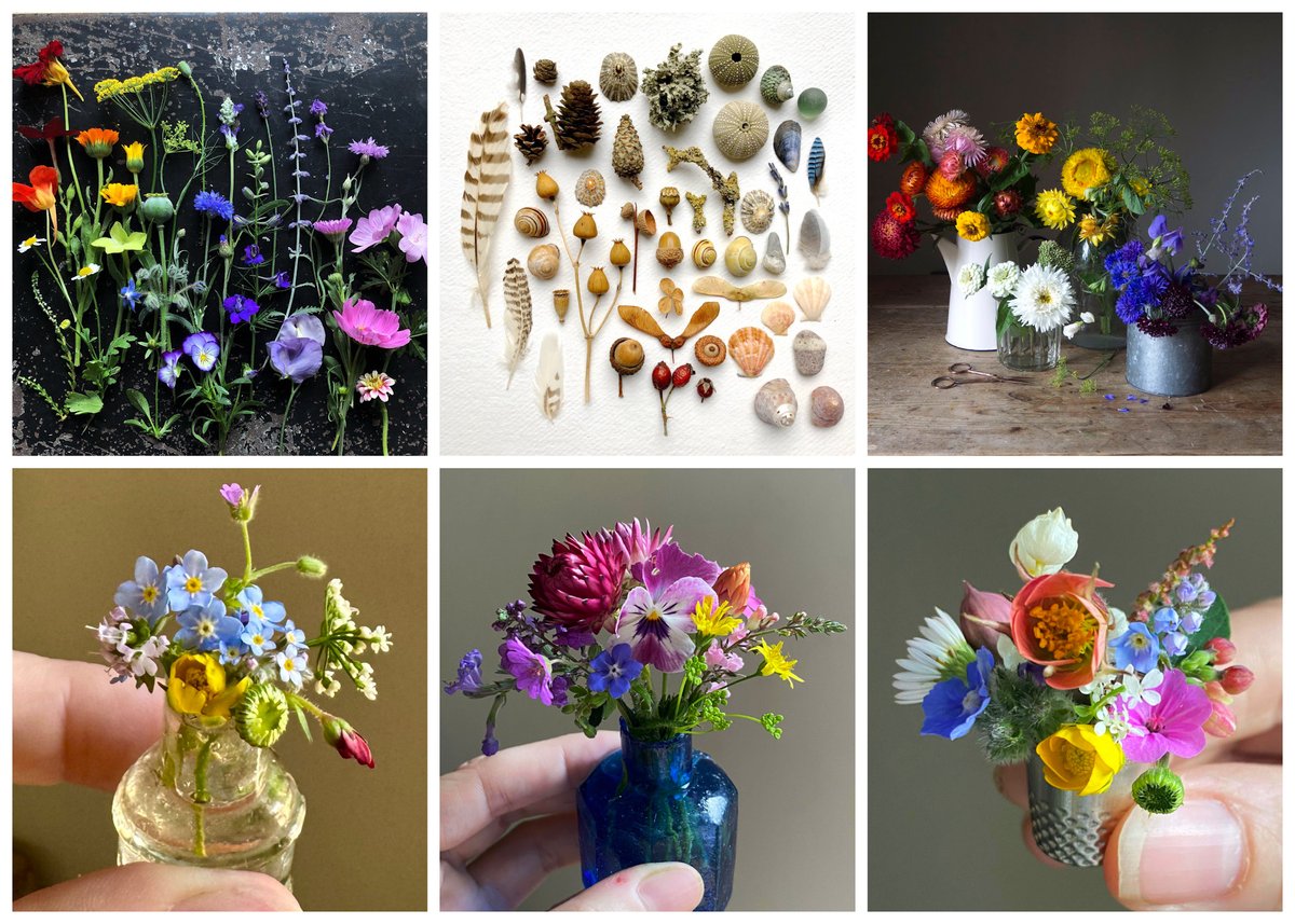 My Etsy shop's now open for a v. limited print run of half calendars of my tiny posy &amp; botanical photos.
I design my photos using recent neuroscientific research so that looking at them alleviates stress.
Each calendar=6 v. high quality frameable prints:
etsy.com/uk/shop/silver…