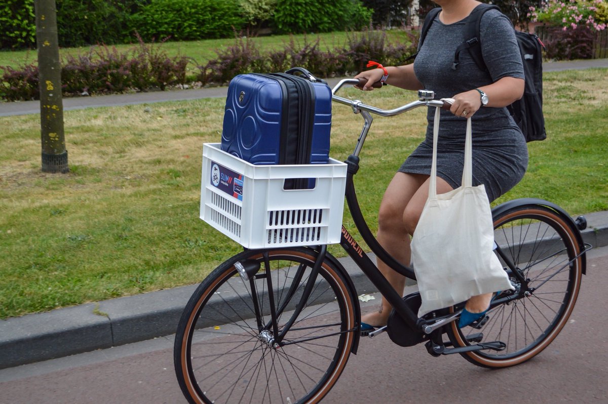 floridanow1 tweet media