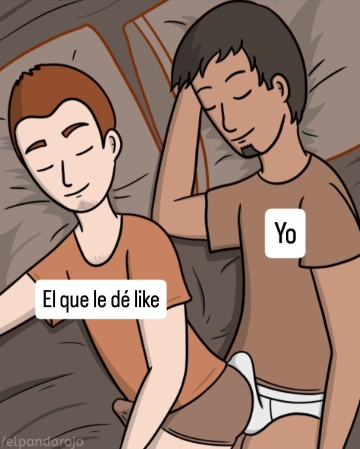 ElPandaRojo tweet media