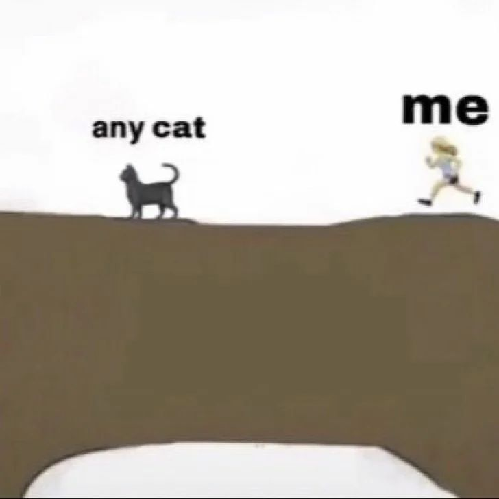 Punch Cat (@punchingcat) on Twitter photo 