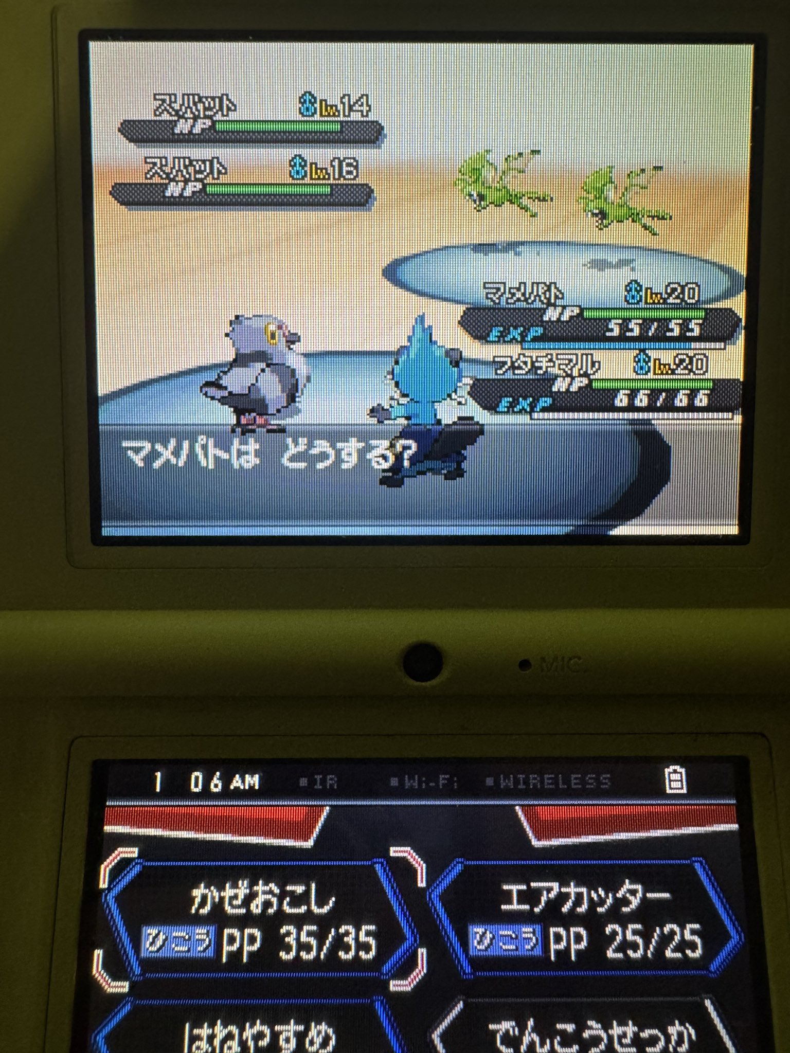 わさワサビちゃん【公式】 (@ThefirstWasabi) / X