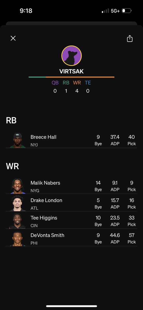 Crazy schnauzer start