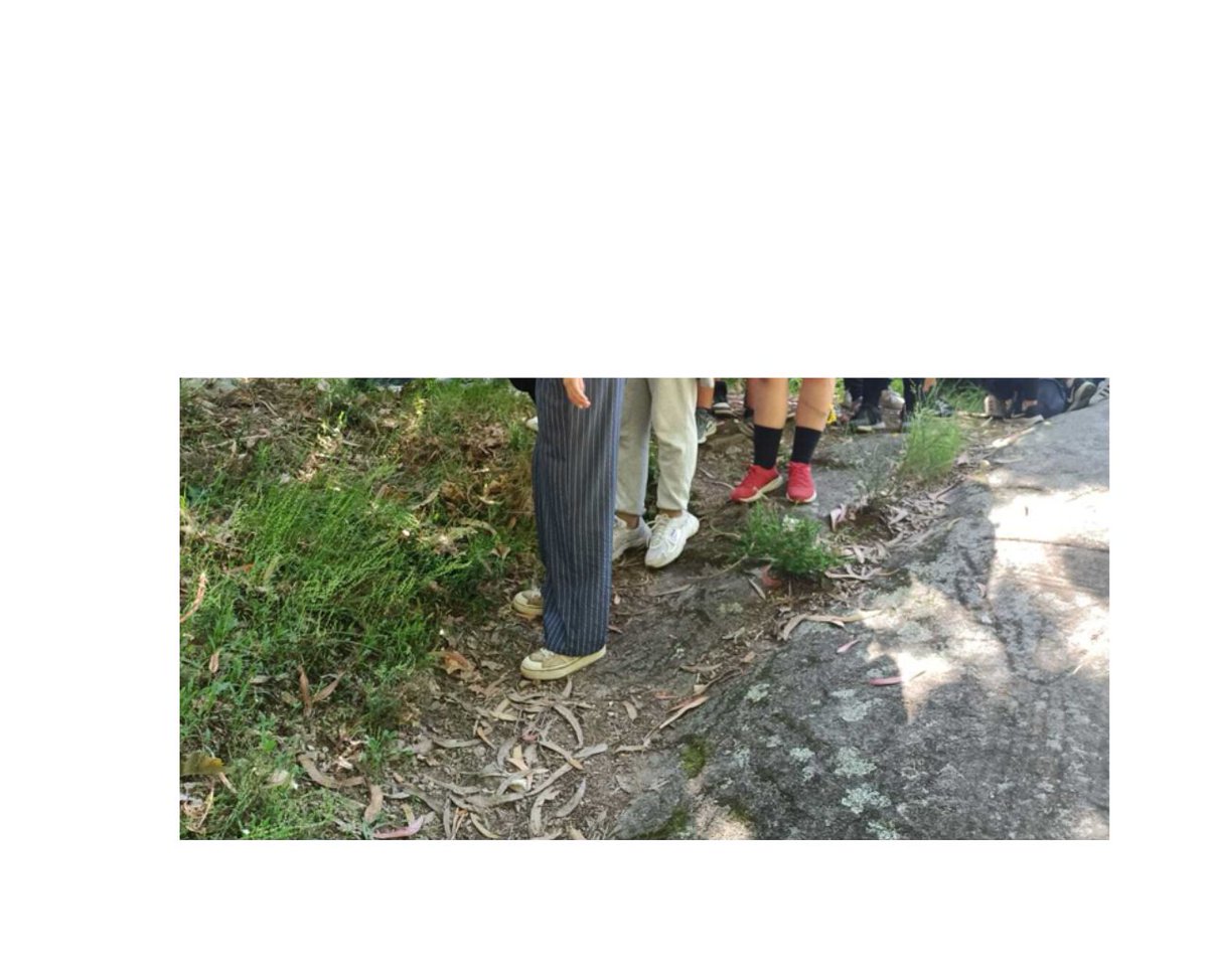 RobertoBarral4's tweet photo. Etwinning project: ‘Internationalising the heritage of our environment’ with partners from Portugal. On 23 May, we took a walk along our route through the heritage sites of Conxo with the students of IES Eduardo Pondal (petroglyph, castle, banquet, etc.). https://t.co/FgbhGSaegx