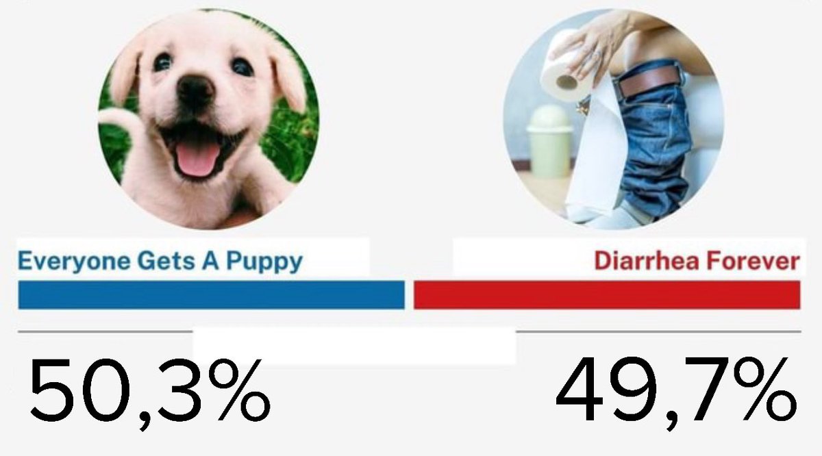 jerrykinoff's tweet image. #Wybory2025