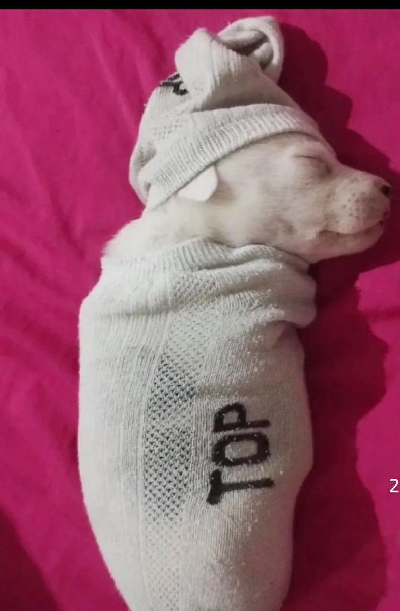 David__OwO's tweet image. Yo acostado con el orto sano :