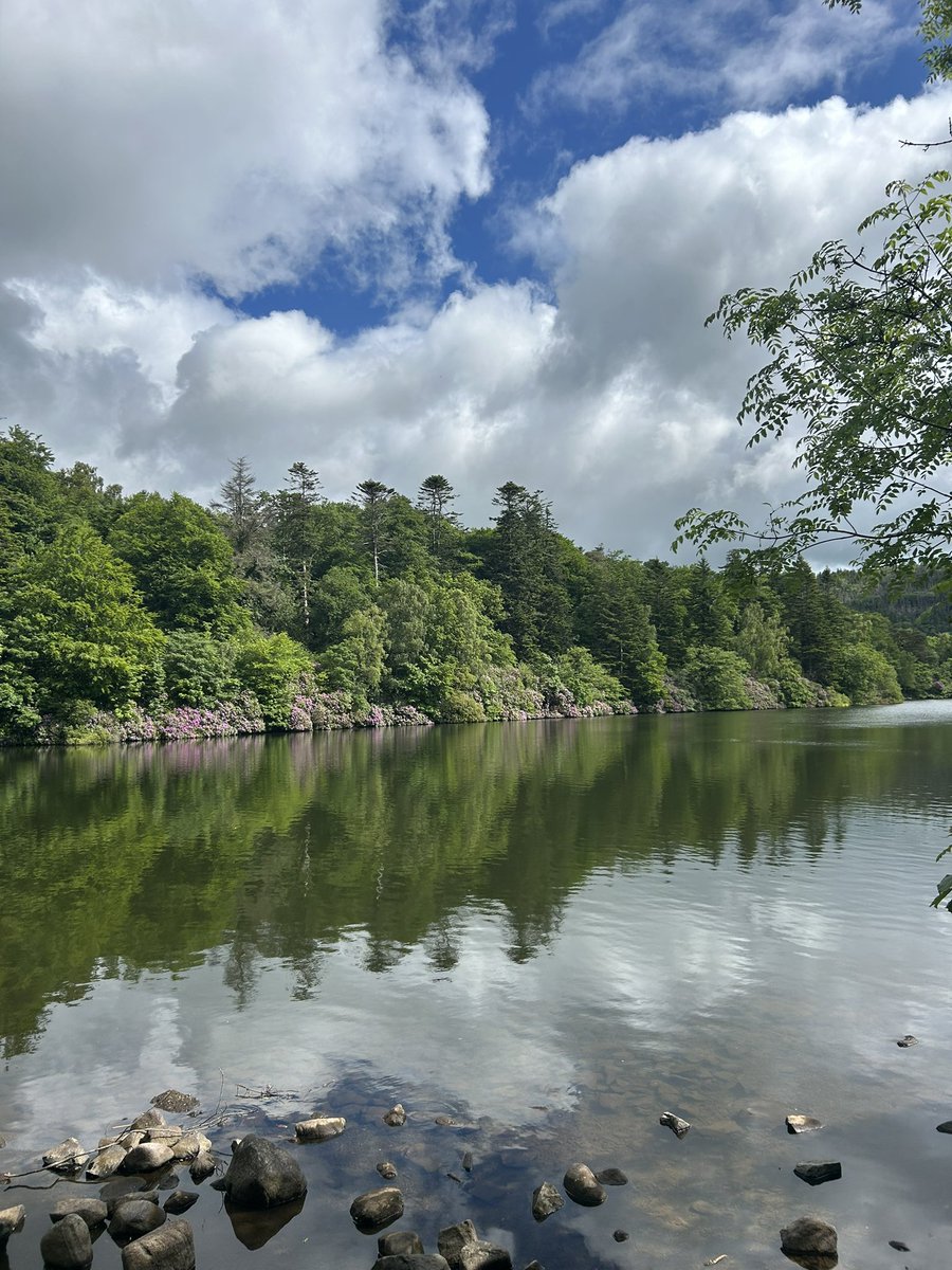 County Down ♥️🖤