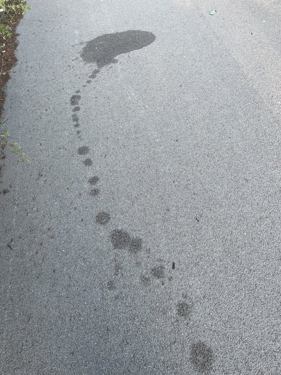 Ian McMillan tweet media