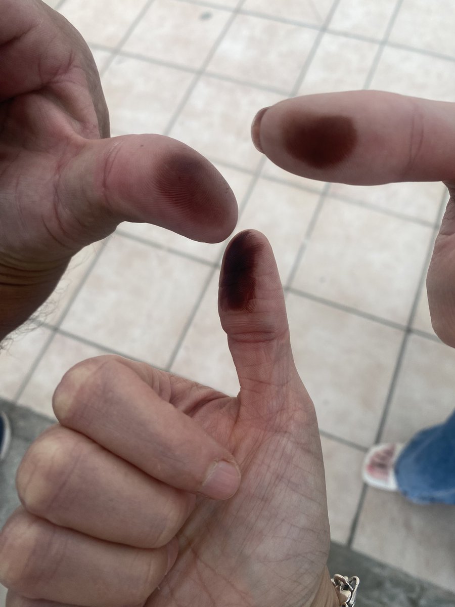 marzouuu's tweet image. Orgullosa! Ya votamos y mi familia también. #VotaPoderJudicial2025mx