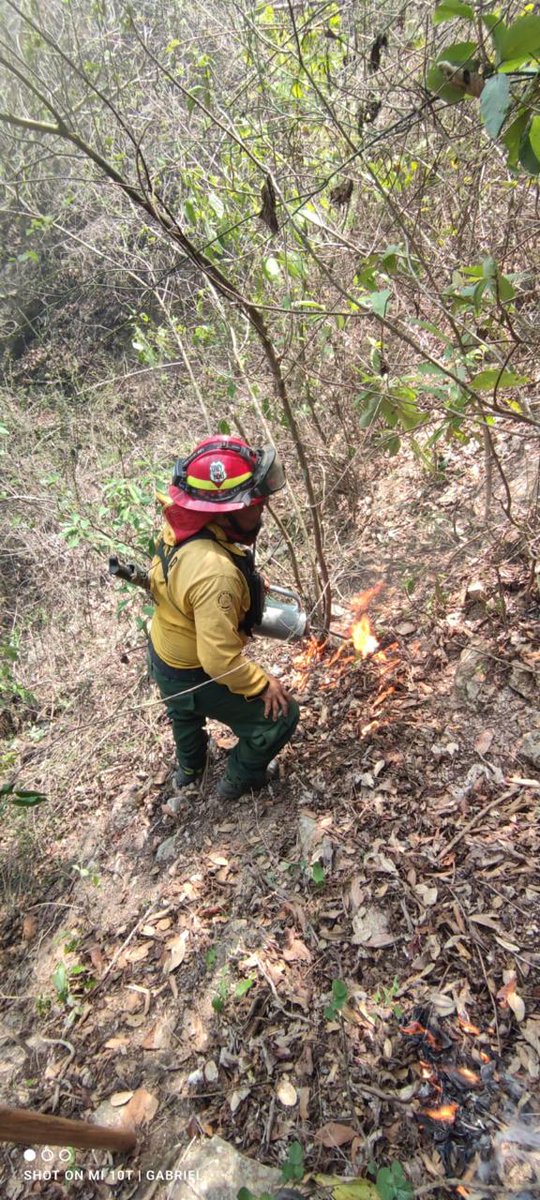 #Guatemala Acciones de combate del incendio en comunidad Ruiz, caserío Asunción Chivoc, San Juan Sacatepéquez, Guatemala. 

Fotografías: Sistema CONRED.