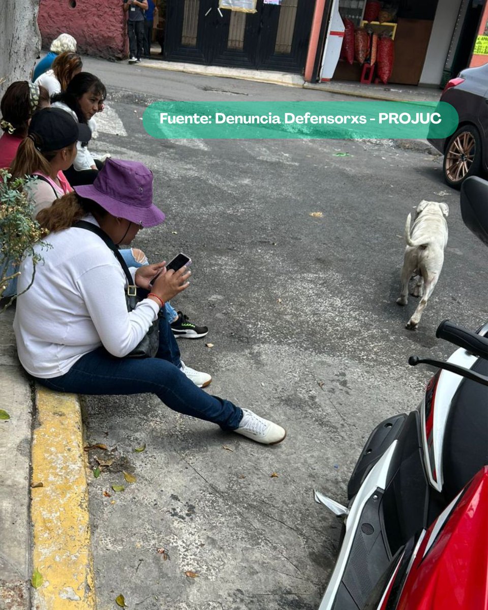 DefensorxsAC's tweet image. Observadores nos reportan la presunta compra de votos en las secciones electorales 2622 y 2686 en Iztapalapa a cambio de $600. Estamos compilando esta y otras irregularidades en nuestra página: 
eleccionjudicial.defensorxs.com/vigilantes-pro…
Pueden denunciar ahí o en nuestra comunidad de WhatsApp.