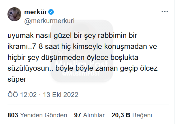 Muslim Post (@muslimp0st) on Twitter photo 