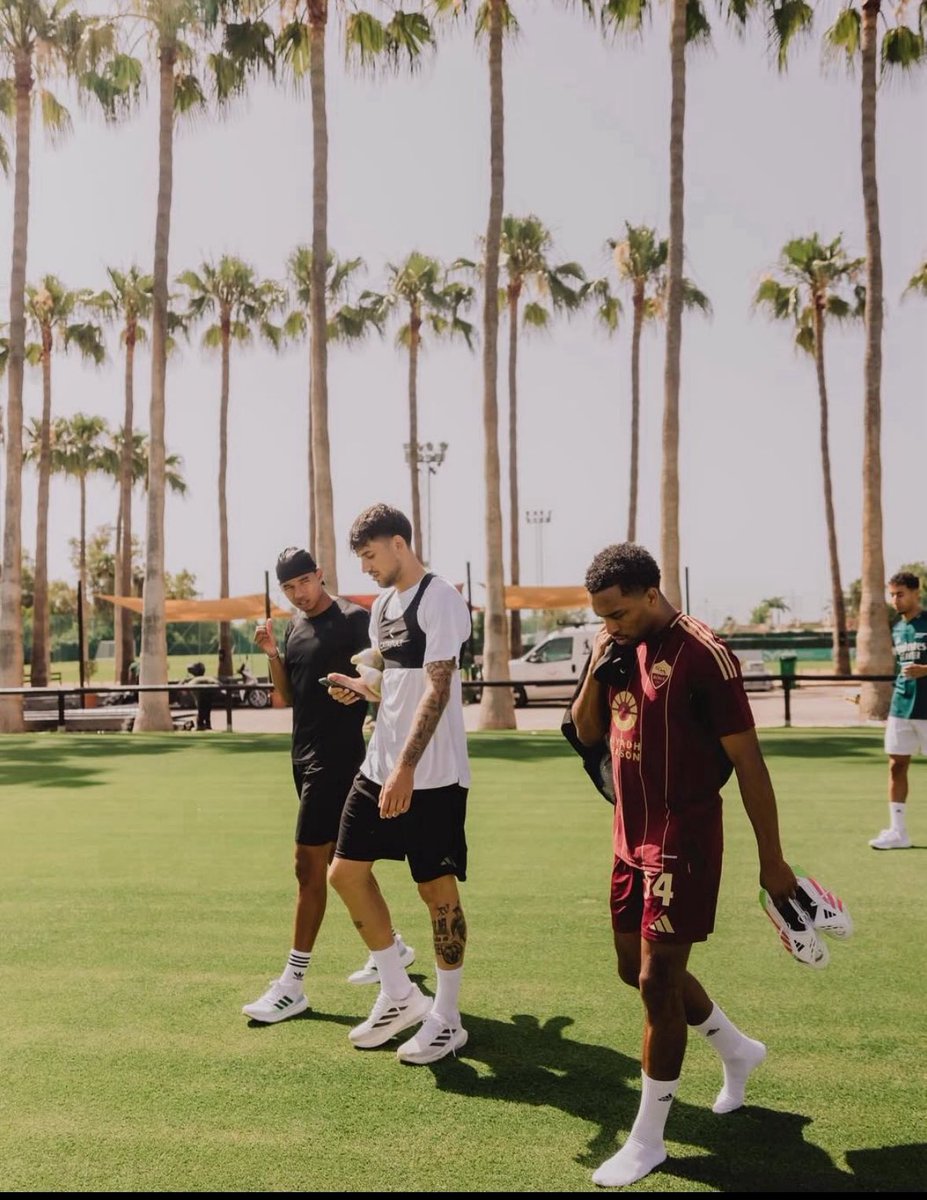 Eenzame kameraad tweet media