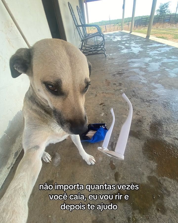 posts que eu me indentifico (@engualeukkk) on Twitter photo 