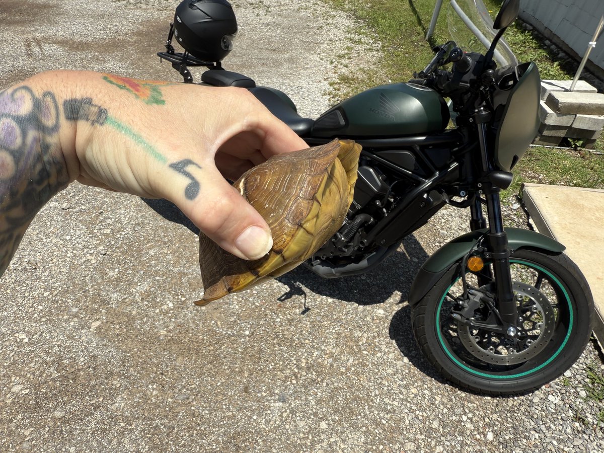 Edgar ONeal tweet media