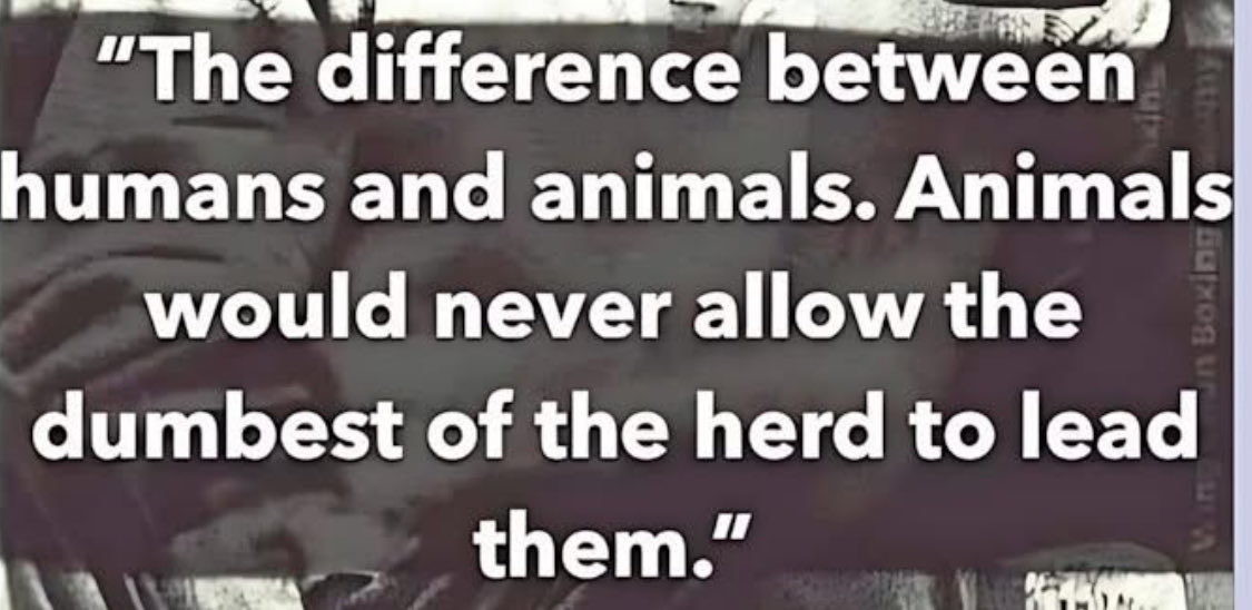 Kobus Wiese tweet media