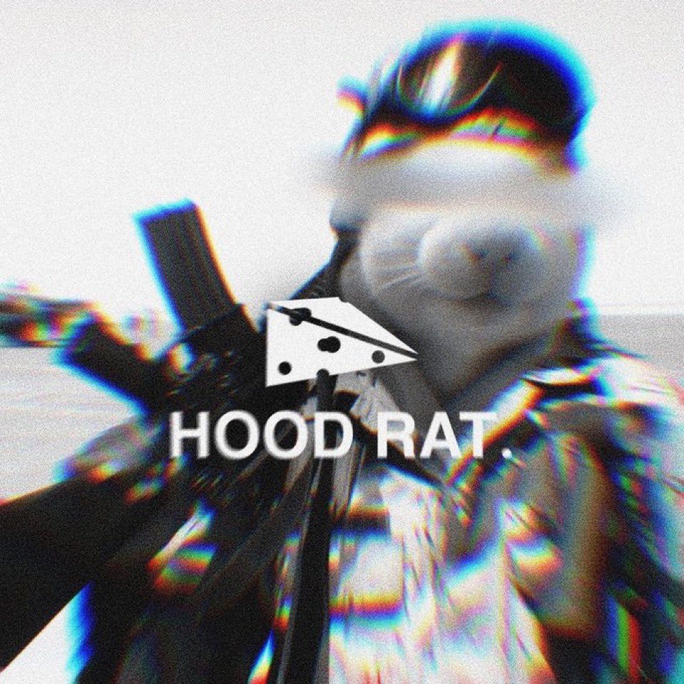 Shoestars (Hoodrat Arc) 🧀 tweet media