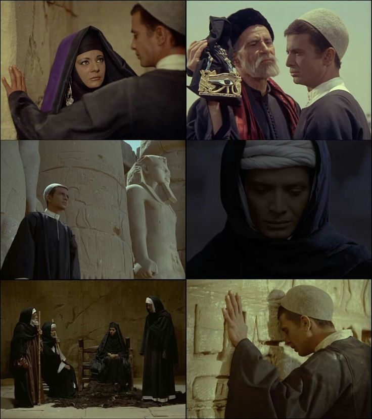 wael tawfek (@waeltawfek50) on Twitter photo 