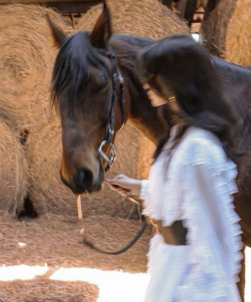 بحر 🌊 tweet media