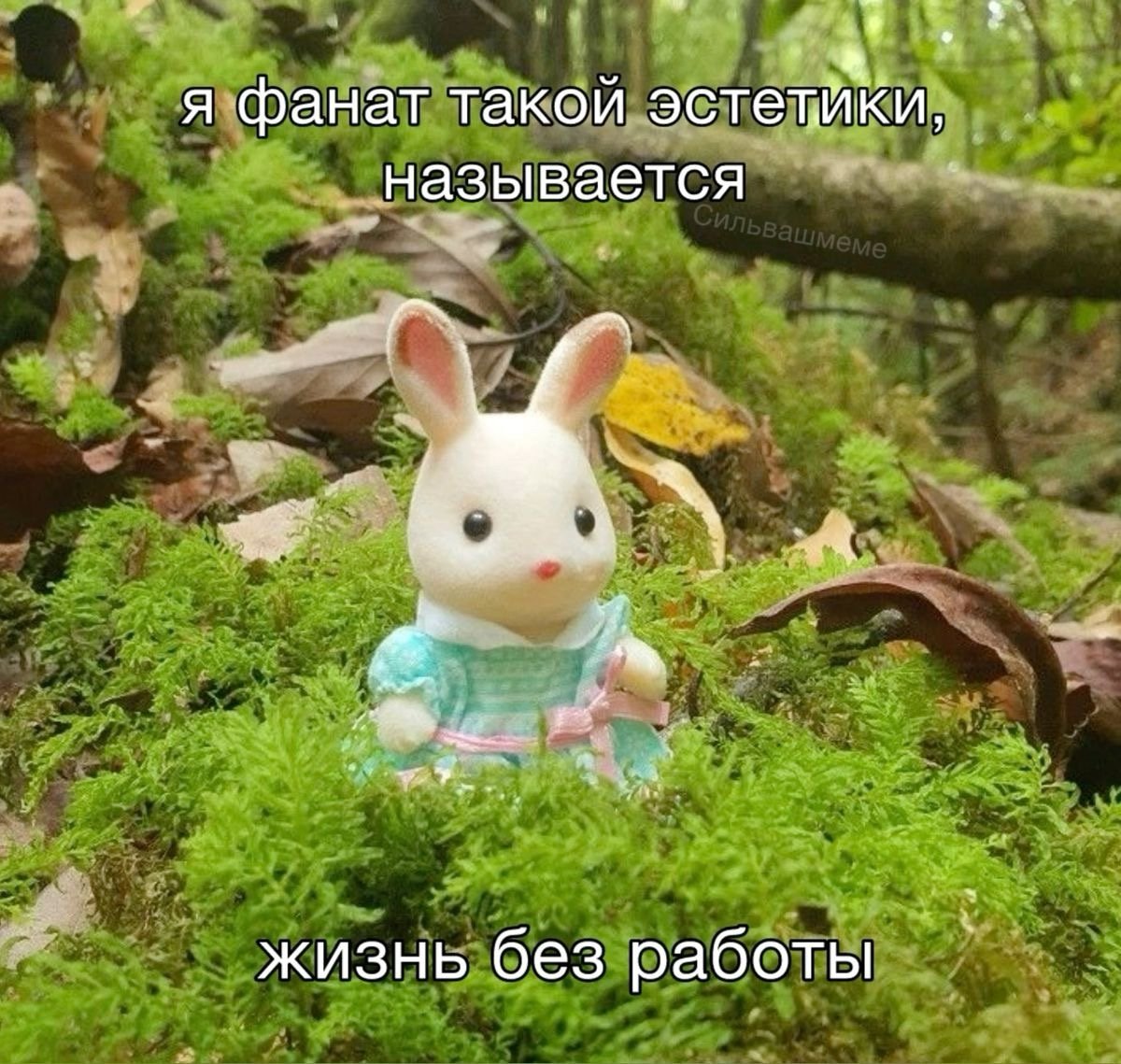 🔺🔳Вагнер🔲🔻 (@vag_ner1337) on Twitter photo 