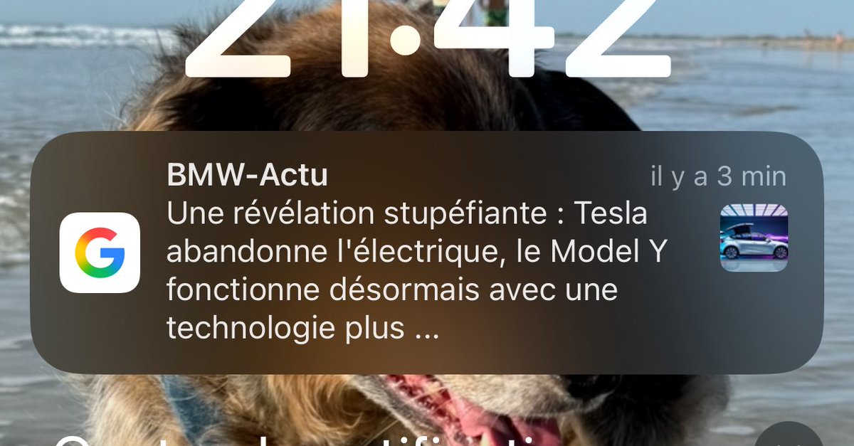 Google News est devenu une horreur. Ce n’est pas seulement des titres putaclic, ça ok, mais en fait, c’est surtout les fausses informations. Plein de sites inconnus qui débarquent et écrivent n’importe quoi