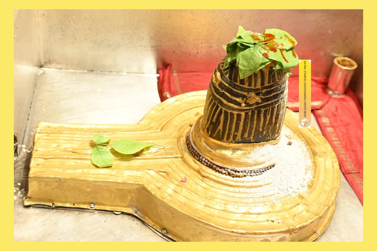 श्री काशी विश्वनाथ जी की श्रृंगार आरती I
#kashi #darshan #kashivishwanath #VishwanathDham #blessings