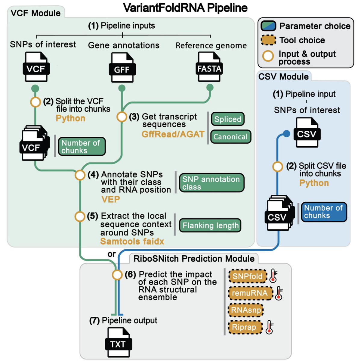 phil_bevilacqua's tweet photo. Pleased to share our new article in collaboration with the Assmann Lab "VariantFoldRNA: A flexible, containerized, and scalable pipeline for genome-wide ribosnitch prediction" out in https://t.co/mN6fYFeQsN… (Free Access) as an Editor's Choice article. https://t.co/JMPYAzy9Gc