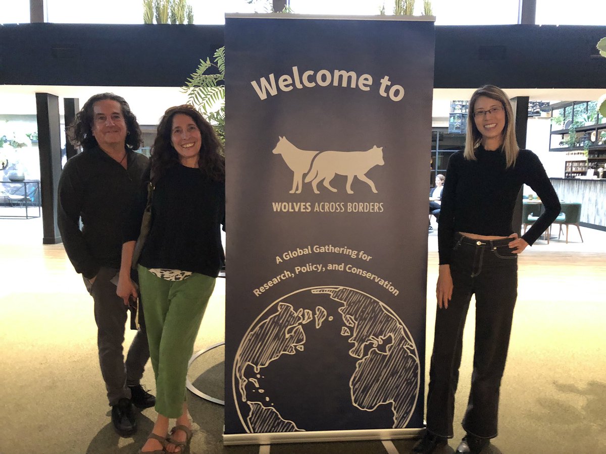 EWCP Ethiopian Wolf Conservation tweet media