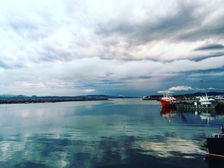 Curiosidades, datos interesantes y descubrimientos inesperados en las #RíasBaixas, desde el origen del vino #albariño a los lugares más sorprendentes de esta región gallega. 

Hoy te mostramos qué ver en Rías Baixas. 

 f.mtr.cool/hrachxhzej

<a href="/turisriasbaixas/">Turismo Rías Baixas</a>