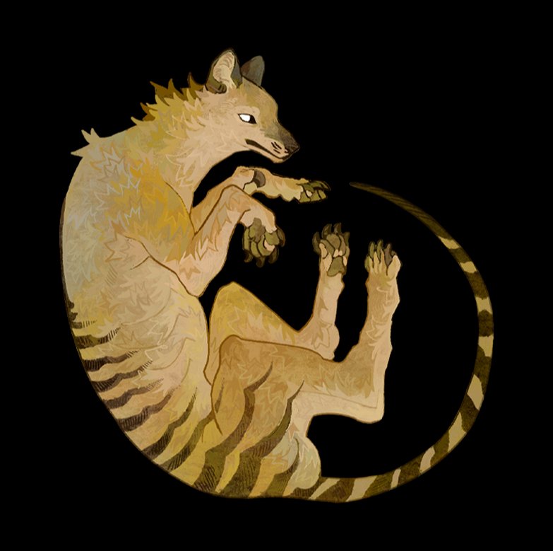Thylacine 💔