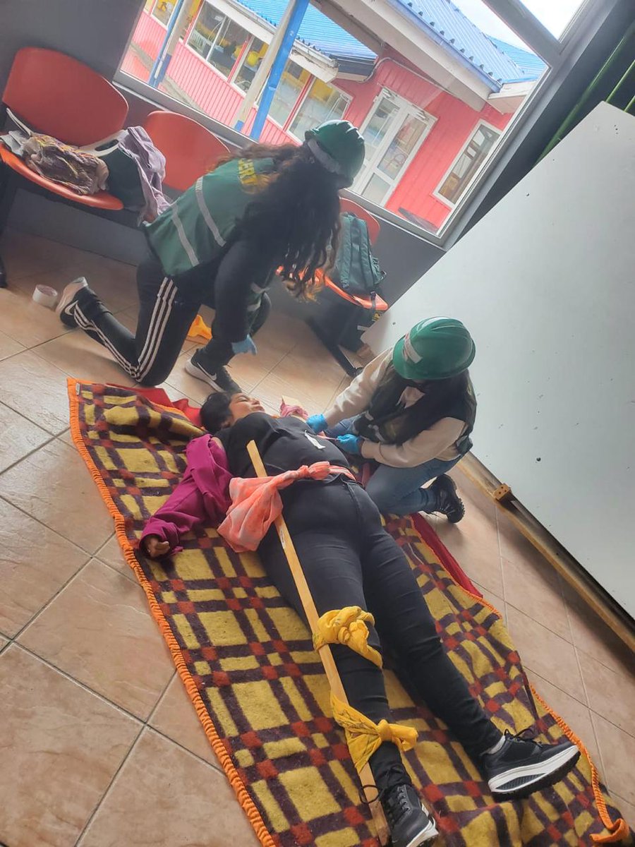 Senapred's tweet photo. #SenapredAysen en conjunto con la Delegacion Presidencial Provincial de General Carrera y la Municipalidad de #ChileChico finalizaron curso básico #CERT, contando con la participación de #Carabineros, #Armada y líderes comunitarios de organizaciones sociales. https://t.co/7WTN2ke0Qs