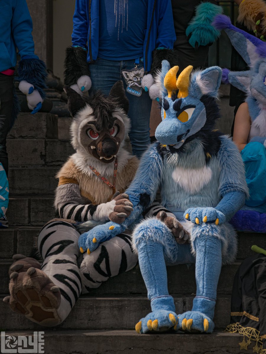 had an amazing time at the frysian furmeet! wouldnt be half as fun if it wasn't with <a href="/StopidKatt/">Sam 🥦🥑</a> 
photos by <a href="/Lonyee_Wusky/">𝕃𝕠𝕟𝕪𝕖𝕖 𝕨𝕦𝕤𝕜𝕪</a> and combi3