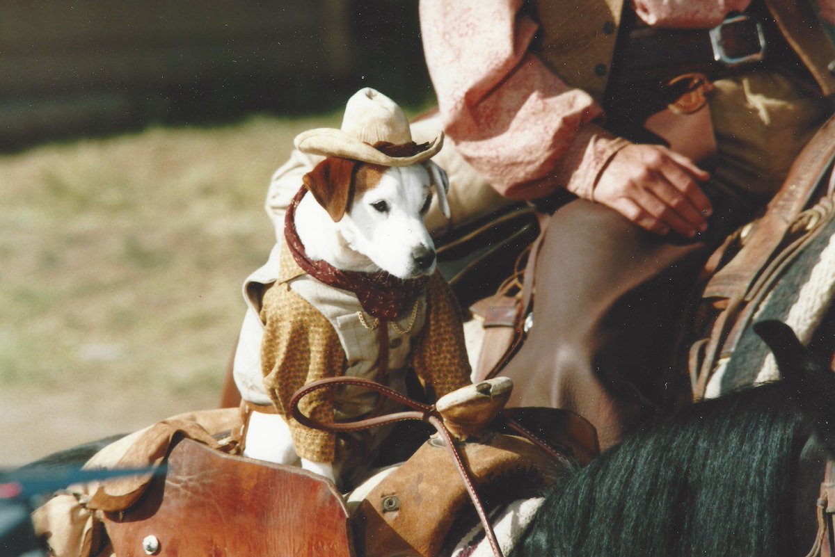Boze Herrington, Library Owl 😴🧙‍♀️ tweet media
