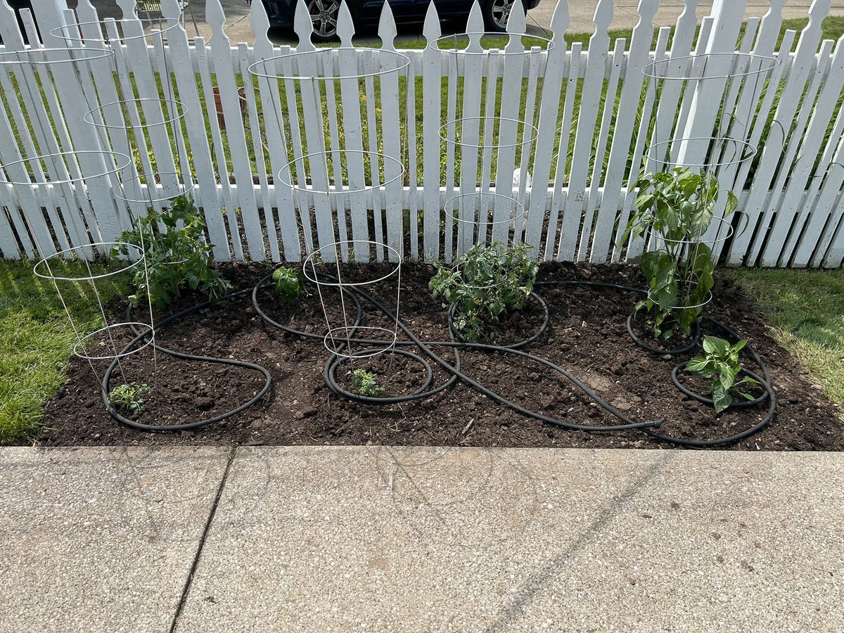 Feeling proud, finally got a garden in the ground again after a couple years in the new house #garden #fresh