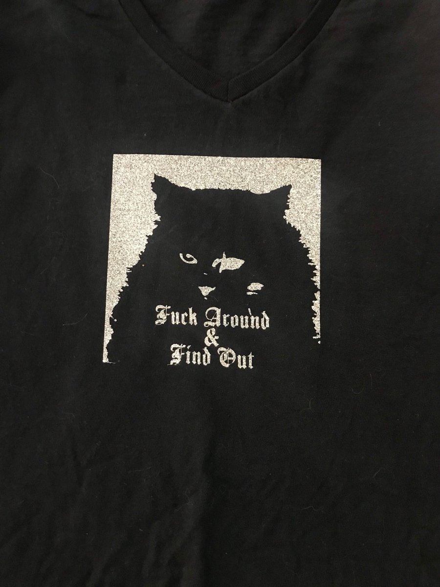 LeafLee6's tweet image. Sparkling Fuck around find out cat tshirt design #fafo leaflee.etsy.com/listing/133021… #larrynassar #metoo