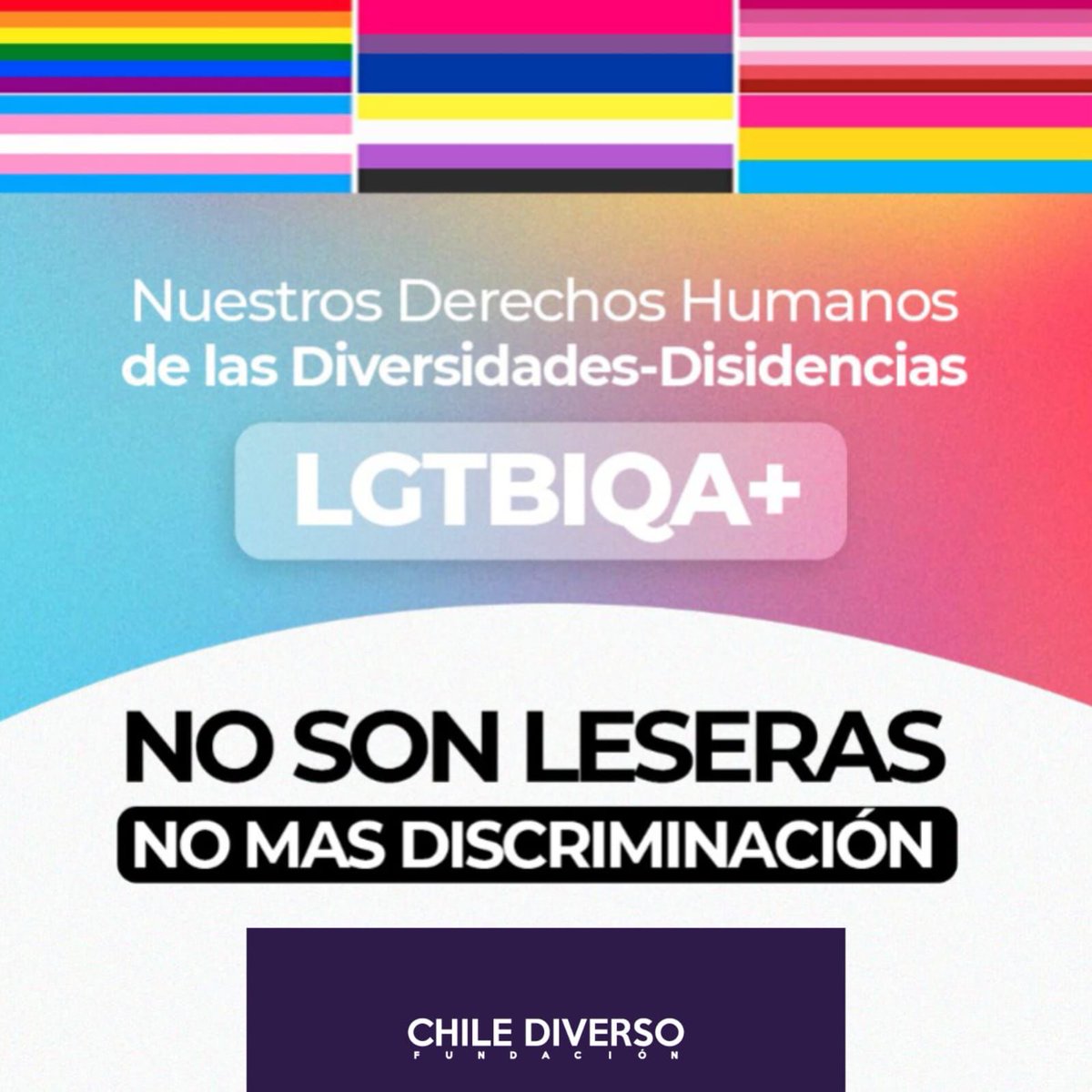 Fundación Chile Diverso tweet media