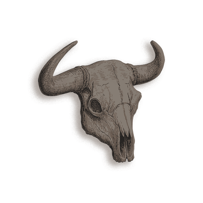 xBULLS3Y3's tweet photo. https://t.co/q6vudoEXhH
