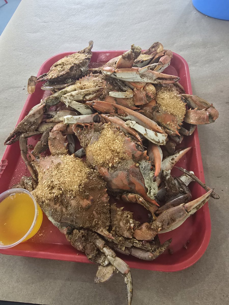 #bluecrabs