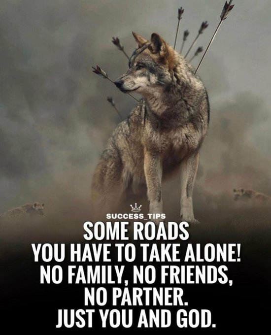 Self-Care Canvas 🦋 tweet media