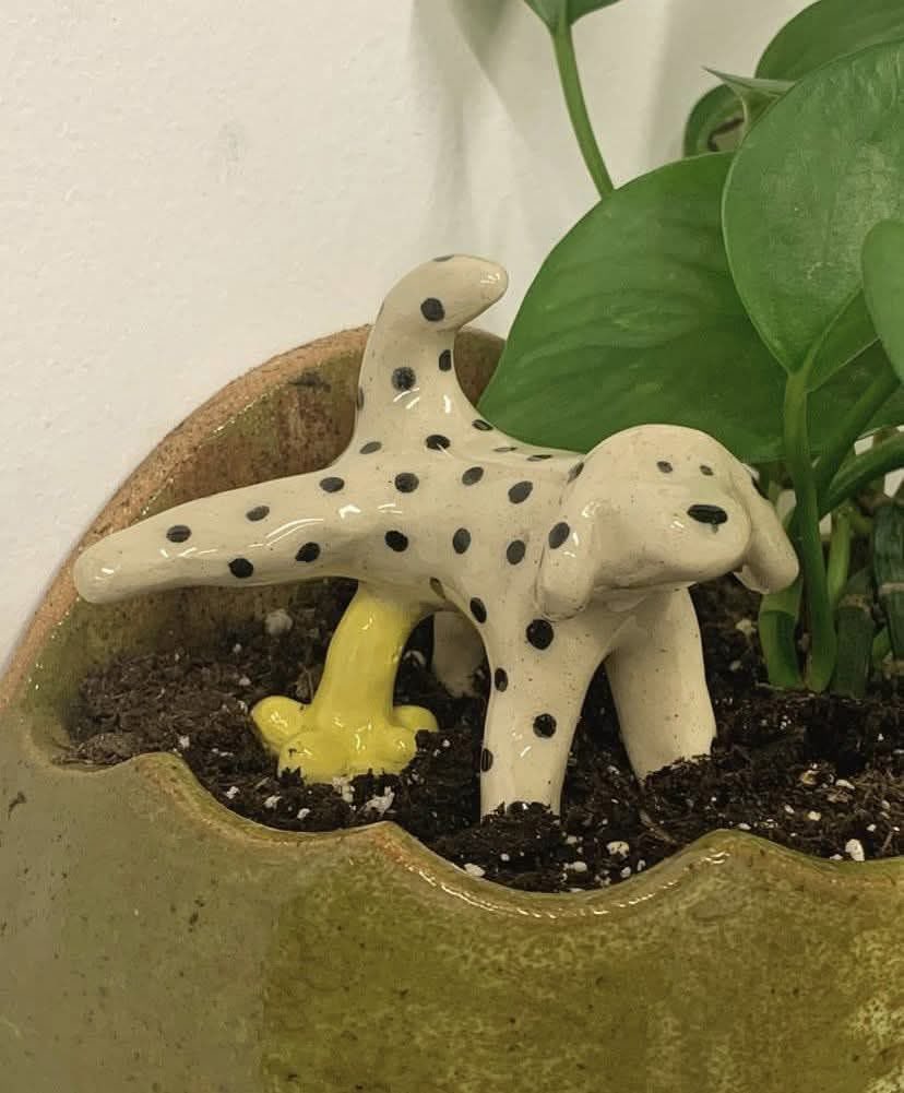 DiloConPerritos's tweet photo. El adorno perfecto para tus plantitas no exis… https://t.co/goCtloaAQL