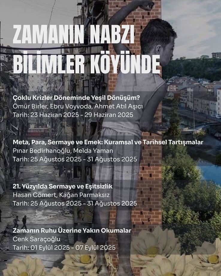 bilimler.org