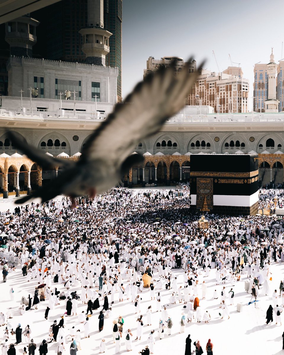 serènity (@cultureartislam) on Twitter photo 