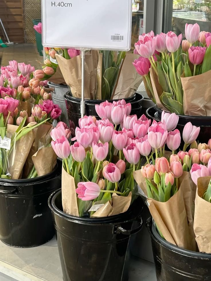 liIacdaisy's tweet image. HELLO JUNE