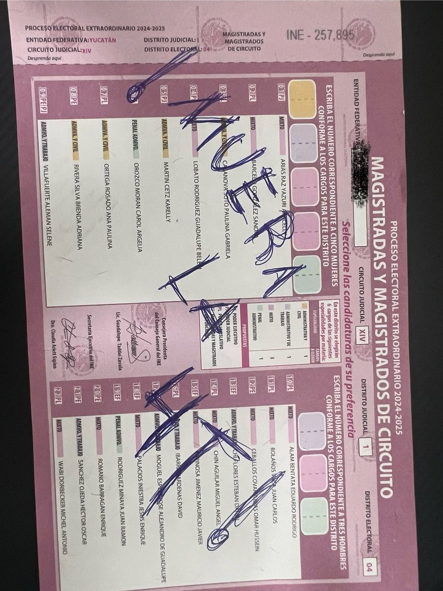 mexachido's tweet photo. Ya anulé y ustedes?, #ElecciónJudicial https://t.co/9NtiiDL6j6